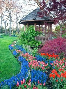 Wonderful backyard landscape design plans #backyardlandscapedesign #backyardlandscapingidea #backyardlandscapedesignideas Wonderful backyard landscape design tips #backyardlandscapedesign #backyardlandscapingidea #backyardlandscapedesignideas