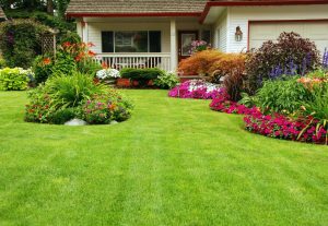 Awesome backyard landscape design ideas #backyardlandscapedesign #backyardlandscapingidea #backyardlandscapedesignideas Awesome backyard landscape design free software #backyardlandscapedesign #backyardlandscapingidea #backyardlandscapedesignideas
