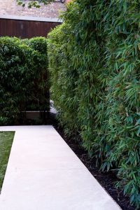 Miraculous concrete fence posts #privacyfenceideas #gardenfence #woodenfenceideas Miraculous garden fence ideas #privacyfenceideas #gardenfence #woodenfenceideas