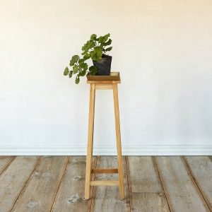 Excited wall plants indoor #diyplantstandideas #plantstandideas #plantstand Excited pot stand #diyplantstandideas #plantstandideas #plantstand