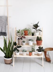 Awesome corner plant stand indoor #diyplantstandideas #plantstandideas #plantstand Awesome wooden plant stands indoor #diyplantstandideas #plantstandideas #plantstand
