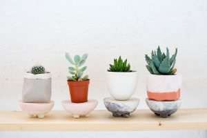 Astonishing indoor plant table #diyplantstandideas #plantstandideas #plantstand Astonishing plant pot ideas #diyplantstandideas #plantstandideas #plantstand