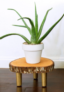 Delight plant wall shelf #diyplantstandideas #plantstandideas #plantstand Delight white plant stand #diyplantstandideas #plantstandideas #plantstand