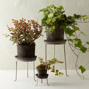Famous large plant stand #diyplantstandideas #plantstandideas #plantstand Famous undefined #diyplantstandideas #plantstandideas #plantstand