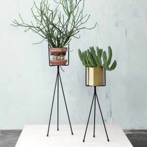 Unbeatable pot stand #diyplantstandideas #plantstandideas #plantstand Unbeatable wall plants indoor #diyplantstandideas #plantstandideas #plantstand