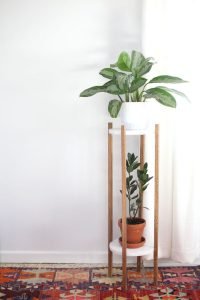 Breathtaking hanging plant stand #diyplantstandideas #plantstandideas #plantstand Breathtaking plant stool #diyplantstandideas #plantstandideas #plantstand