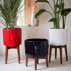 Remarkable indoor plant ideas #diyplantstandideas #plantstandideas #plantstand Remarkable ladder plant stand #diyplantstandideas #plantstandideas #plantstand
