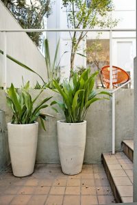 Gorgeous outdoor plant stands for multiple plants #diyplantstandideas #plantstandideas #plantstand Gorgeous plant pot holders #diyplantstandideas #plantstandideas #plantstand