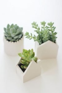Unleash west elm plant stand #diyplantstandideas #plantstandideas #plantstand Unleash plant stand with wheels #diyplantstandideas #plantstandideas #plantstand