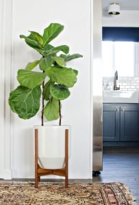 Epic indoor plant decor #diyplantstandideas #plantstandideas #plantstand Epic tiered plant stand indoor #diyplantstandideas #plantstandideas #plantstand