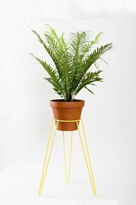 Terrific indoor plant stands #diyplantstandideas #plantstandideas #plantstand Terrific indoor plant holders #diyplantstandideas #plantstandideas #plantstand