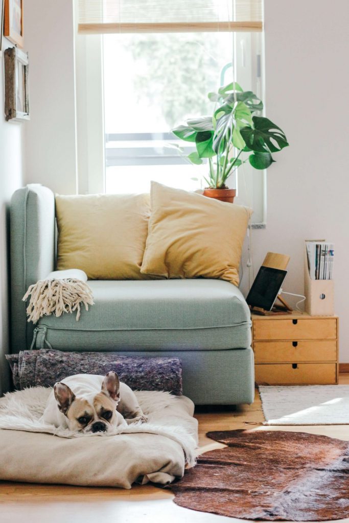 turn house into a home